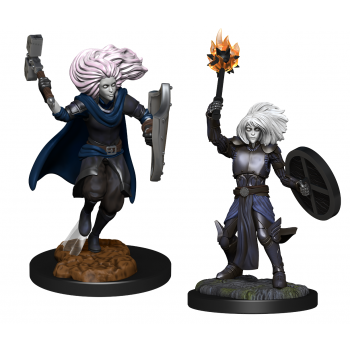 Changeling Cleric - D&D Unpainted Miniatures