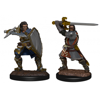 Male Human Paladin - D&D Unpainted Miniatures