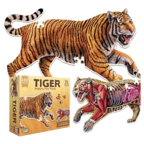 Tiger - Anatomy Vloerpuzzel - 100 stukken