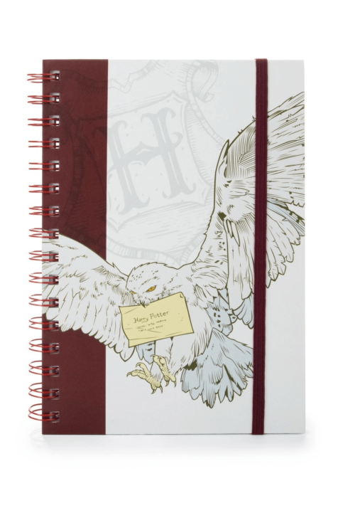 Harry Potter (Special Delivery) - A5 Notebook