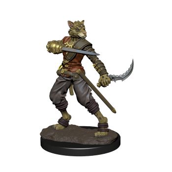 Male Tabaxi Rogue - Painted D&D Miniatures