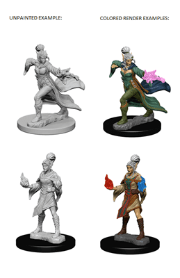 Elf Female Sorcerer - Pathfinder Unpainted Miniatures