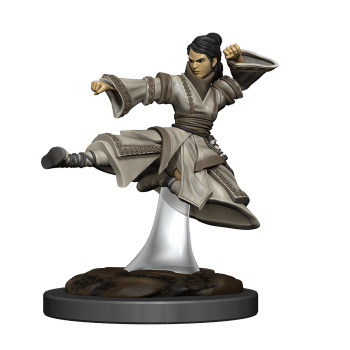 Female Human Monk- Premium D&D Figure