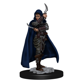 Human Female Rogue - Painted Pathfinder Miniatures