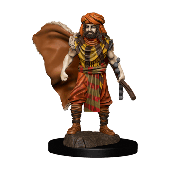 Male Human Druid - Premium D&D Figure