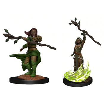 Female Human Druid - D&D Unpainted Miniatures