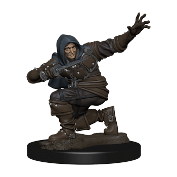 Human Male Rogue - Premium Pathfinder Figure